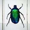 Green Beetle in Resin, Green Beetle, Bugs in Resin