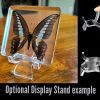 Resin Specimen Display Stand