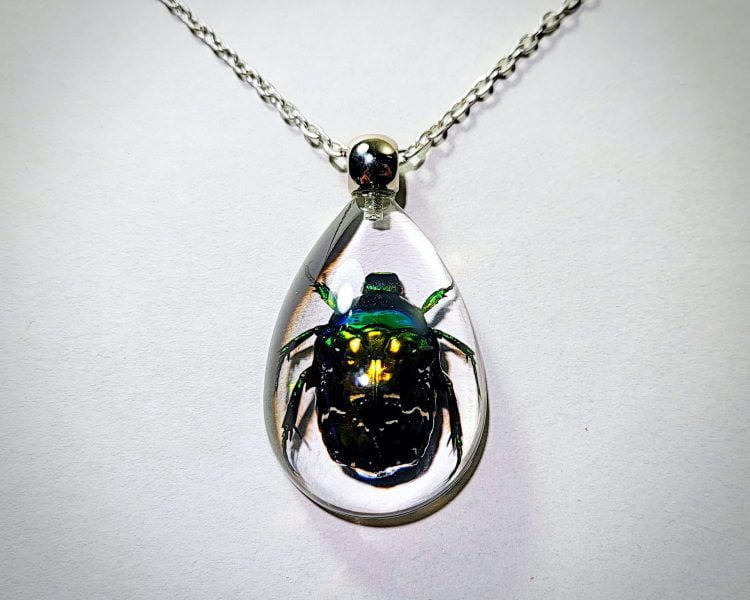 Real Insect Jewelry, Real Beetle Pendant Necklace