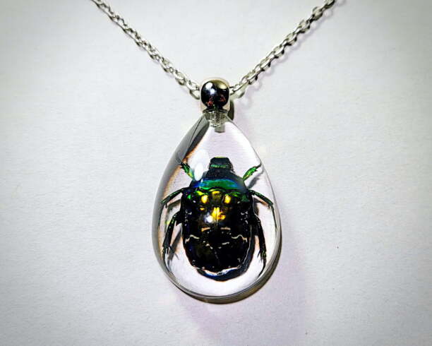 Chain Set Insect Real Insect Jewelry - Insects In Resin, Insect necklaces and pendants