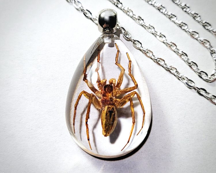 Real Insect Jewelry, Real Spider Pendant Necklace