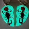 Glow-In-The-Dark Scorpion Necklace Set, Real Scorpions Necklace