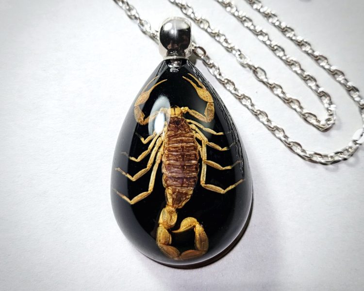 Real Scorpion Necklace, Insect Jewelry Wholesale
