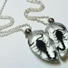 Real Insect Jewelry, Scorpion Friendship Necklace Set
