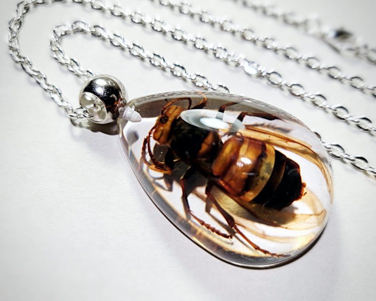 Real Insect Jewelry,Murder Hornet Necklace, Bug Necklace