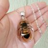 Real Insect Jewelry,Murder Hornet Necklace, Bug Necklace