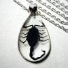 Real insect jewelry, Black Scorpion Necklace, Wholesale insect Jewelry