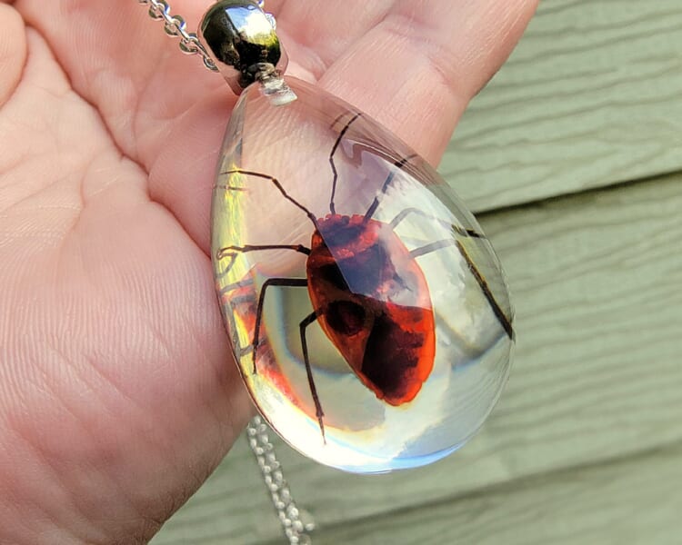 Milkweed Bug Necklace, Real Insect Jewelry - Insects In Resin