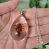 Real Insect Jewelry, Bug Necklace Wholesale
